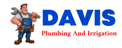 Trusted plumber in CHANDLERSVILLE